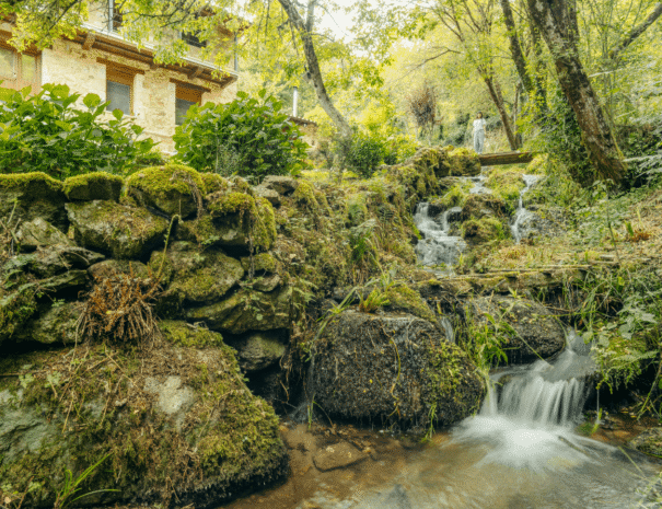 Magia en cada rincón